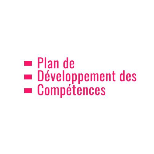 Plan de Développement des Compétences